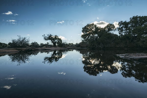 Reflection of trees and blue sky in still lake