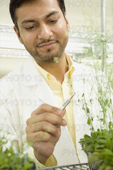 Pakistani scientist testing plant growth