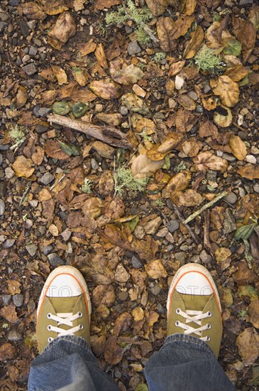 High angle view of sneakers on nature trail