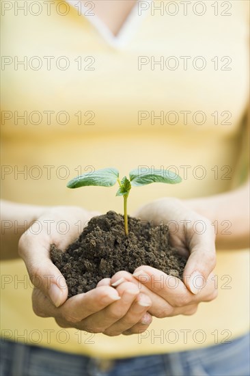 Hispanic woman holding seedling