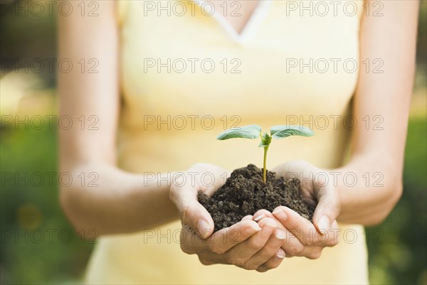 Hispanic woman holding seedling