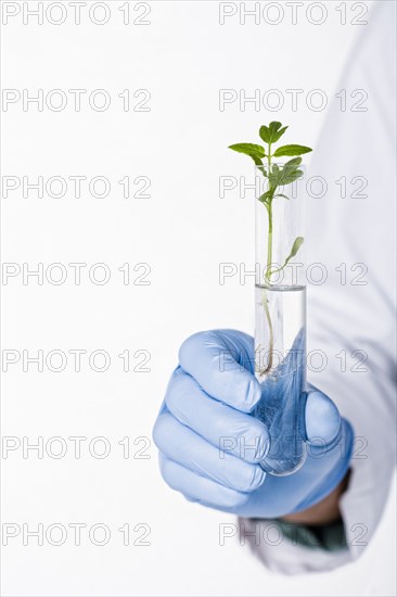 Hispanic scientist holding test tube containing sprout