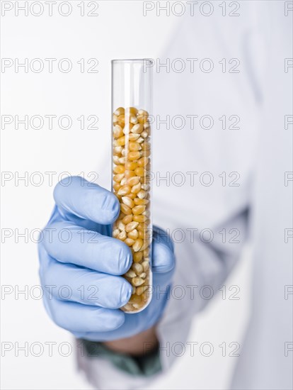 Hispanic scientist holding test tube containing corn