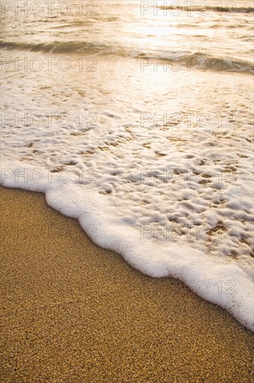 Foamy wave on beach