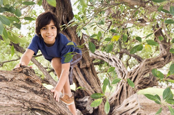 Mixed race boy climbing tree