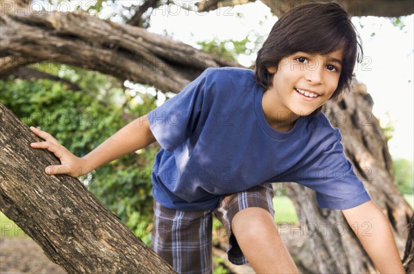 Mixed race boy climbing tree