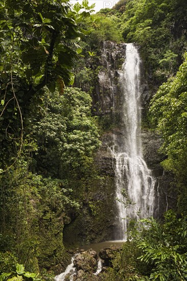 Remote waterfall in tropical rainforest