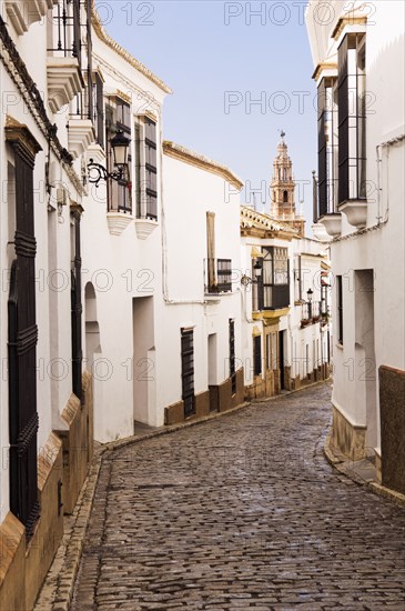 Cobblestone alley of quaint village