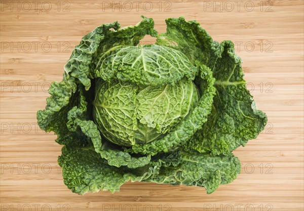 Head of savoy cabbage