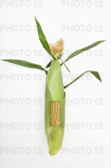 Section missing from husk on corn cob