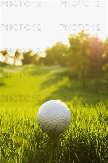 Close up of teed golf ball on golf course