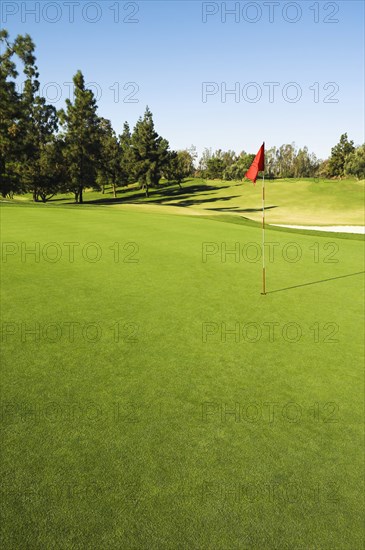 Flag in hole on golf course