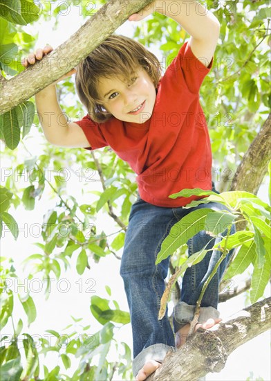 Caucasian boy smiling in tree