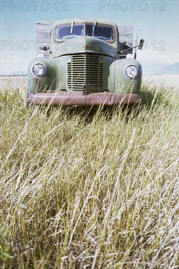 Abandoned truck in field of grass