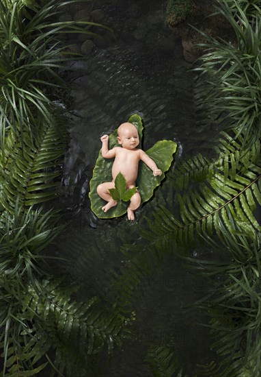 Naked Caucasian baby boy floating in stream on leaf