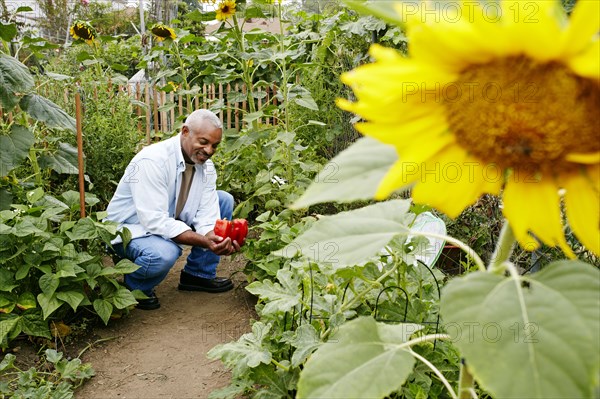 Black man holding bell peppers in community garden