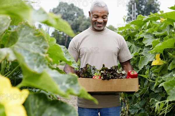 Black man gathering vegetables in community garden