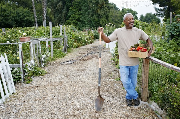 Black man gathering vegetables in community garden