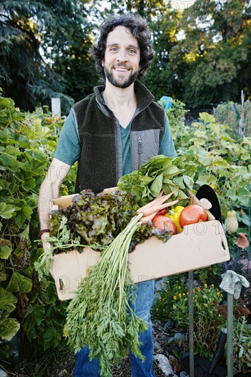 Caucasian man harvesting vegetables in garden