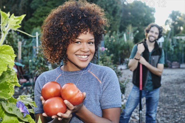 Mixed race woman picking tomatoes in garden