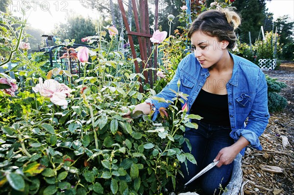 Mixed race woman examining flowers in garden