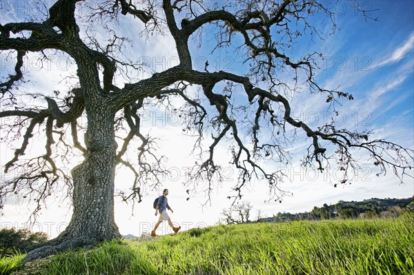 Caucasian man walking in field near tree