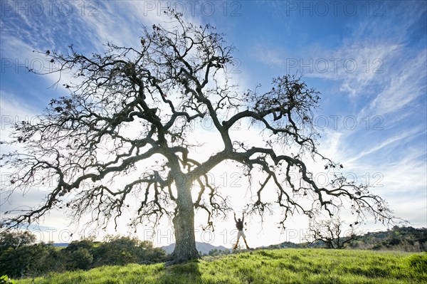 Caucasian man jumping for joy in field near tree