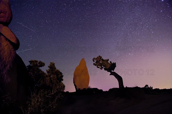 Stars in sky over desert