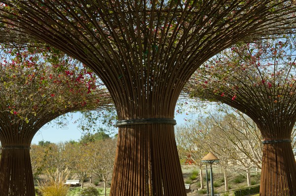 Garden sculptures at Getty Museum