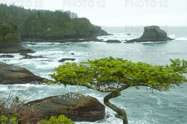 Ocean and rocky shore of remote area