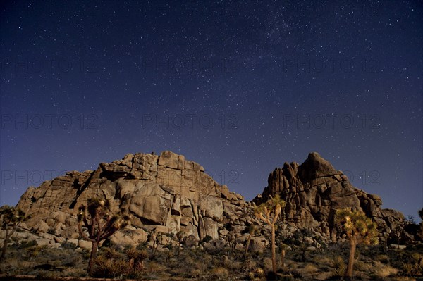 Stars in sky over desert