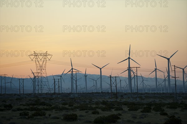 Wind farm in desert at sunset