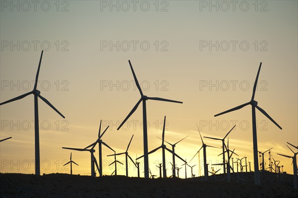 Wind farm in desert at sunset