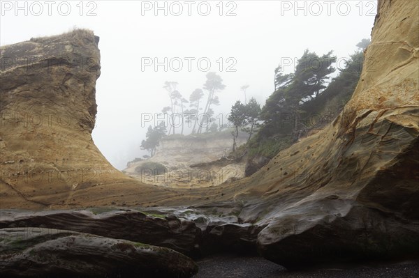 Rock formations on foggy coastline