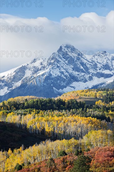 Snowy mountain and trees in rural landscape