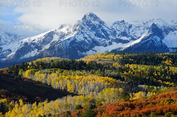 Snowy mountain and trees in rural landscape