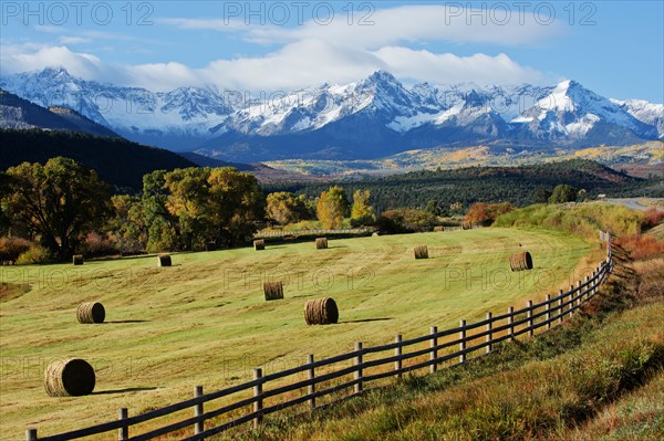 Hay bales in rural field