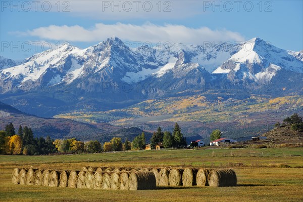 Hay bales in rural field