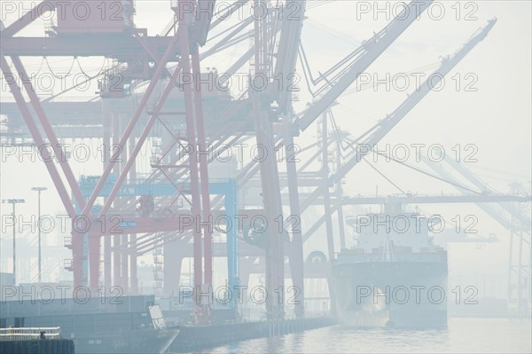 Shipping cranes in foggy industrial harbor