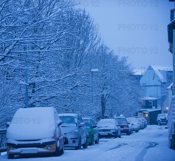 Snow covered cars parked on city street