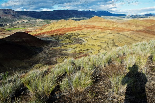 Shadow of photographer photographing painted hills in desert landscape