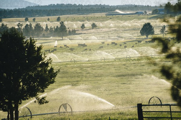 Irrigation system watering crop fields in rural landscape