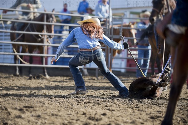 Caucasian cowgirl tying horse in rodeo on ranch