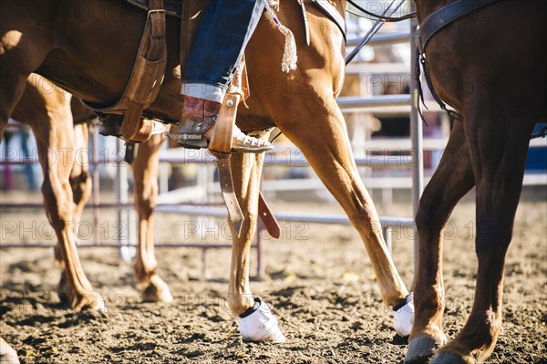 Caucasian cowgirl riding horse on ranch