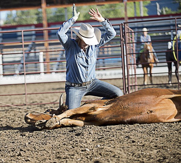 Caucasian cowboy tying cattle in rodeo on ranch