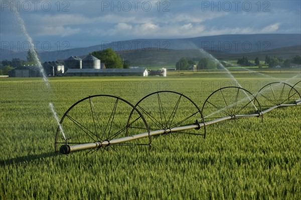 Irrigation system watering crops on farm field