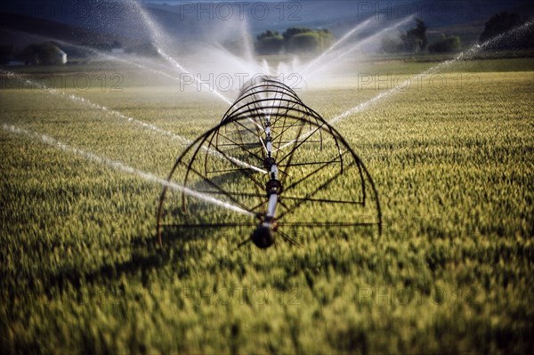 Irrigation system watering crops on farm field