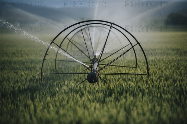 Irrigation system watering crops on farm field