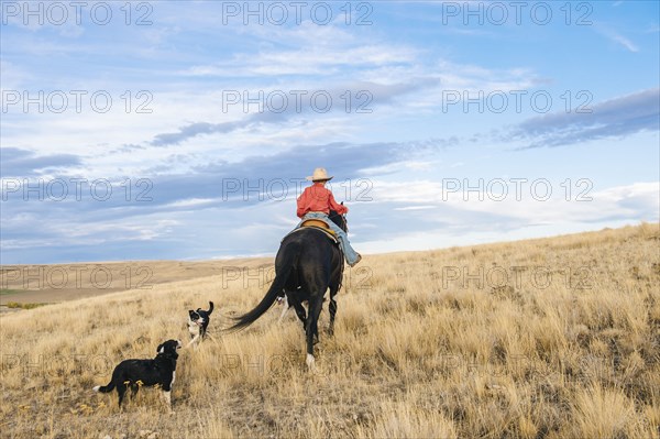 Caucasian boy riding horse on grassy hill