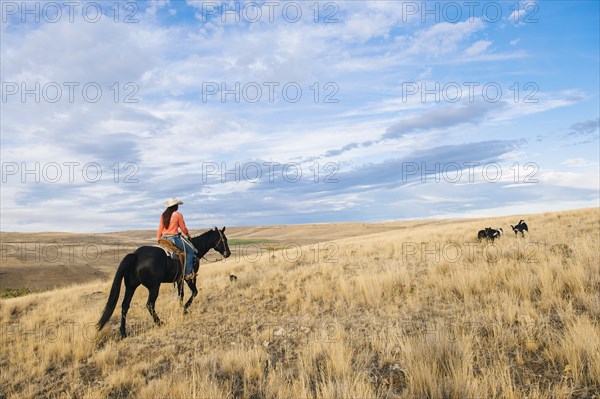 Caucasian woman riding horse on grassy hill